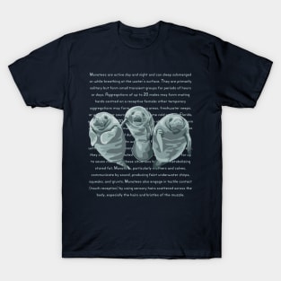 Information About Endangered Manatees T-Shirt